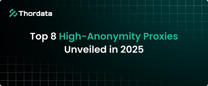 Top 8 High-Anonymity Proxies Unveiled